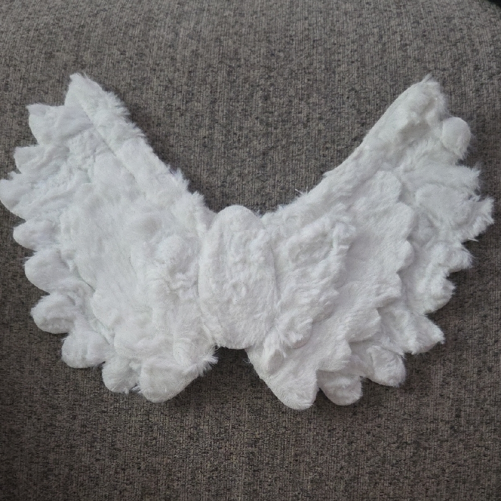 Angel Wings Dog Costume